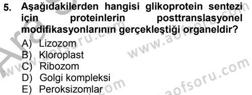 Hücre Kimyası Dersi 2012 - 2013 Yılı (Vize) Ara Sınav Soruları 5. Soru