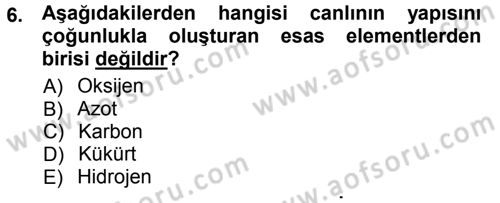 Hücre Kimyası Dersi 2012 - 2013 Yılı (Vize) Ara Sınav Soruları 6. Soru