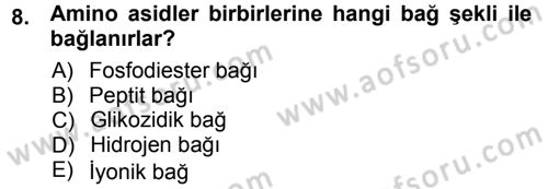 Hücre Kimyası Dersi 2012 - 2013 Yılı (Vize) Ara Sınav Soruları 8. Soru
