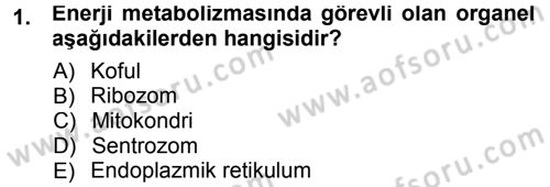 Hücre Kimyası Dersi 2012 - 2013 Yılı (Final) Dönem Sonu Sınav Soruları 1. Soru