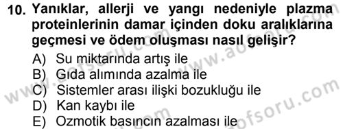 Hücre Kimyası Dersi 2012 - 2013 Yılı (Final) Dönem Sonu Sınav Soruları 10. Soru