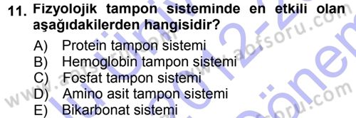 Hücre Kimyası Dersi 2012 - 2013 Yılı (Final) Dönem Sonu Sınav Soruları 11. Soru