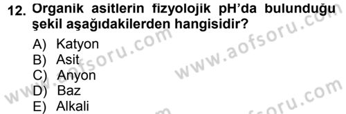 Hücre Kimyası Dersi 2012 - 2013 Yılı (Final) Dönem Sonu Sınav Soruları 12. Soru