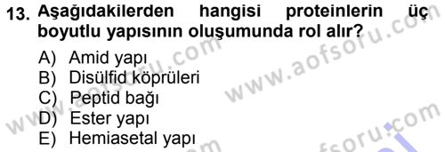 Hücre Kimyası Dersi 2012 - 2013 Yılı (Final) Dönem Sonu Sınav Soruları 13. Soru