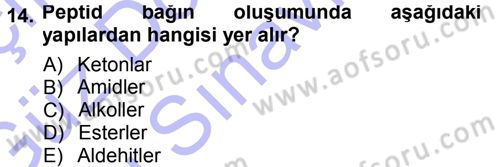 Hücre Kimyası Dersi 2012 - 2013 Yılı (Final) Dönem Sonu Sınav Soruları 14. Soru