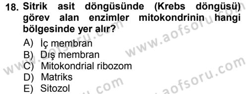 Hücre Kimyası Dersi 2012 - 2013 Yılı (Final) Dönem Sonu Sınav Soruları 18. Soru