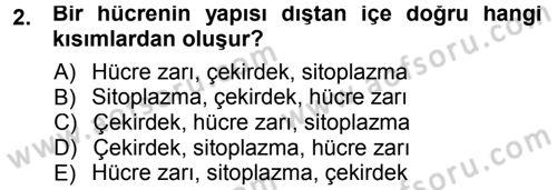 Hücre Kimyası Dersi 2012 - 2013 Yılı (Final) Dönem Sonu Sınav Soruları 2. Soru