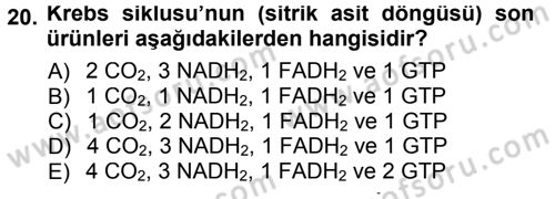 Hücre Kimyası Dersi 2012 - 2013 Yılı (Final) Dönem Sonu Sınav Soruları 20. Soru