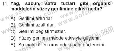 Hücre Kimyası Dersi 2012 - 2013 Yılı Tek Ders Sınav Soruları 11. Soru