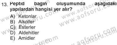 Hücre Kimyası Dersi 2012 - 2013 Yılı Tek Ders Sınav Soruları 13. Soru