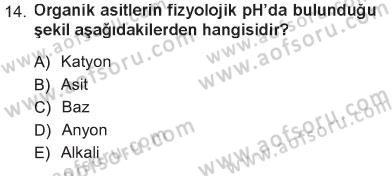 Hücre Kimyası Dersi 2012 - 2013 Yılı Tek Ders Sınav Soruları 14. Soru
