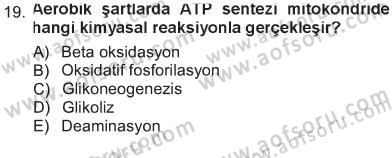 Hücre Kimyası Dersi 2012 - 2013 Yılı Tek Ders Sınav Soruları 19. Soru