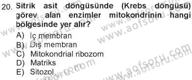 Hücre Kimyası Dersi 2012 - 2013 Yılı Tek Ders Sınav Soruları 20. Soru