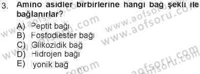 Hücre Kimyası Dersi 2012 - 2013 Yılı Tek Ders Sınav Soruları 3. Soru