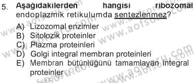 Hücre Kimyası Dersi 2012 - 2013 Yılı Tek Ders Sınav Soruları 5. Soru