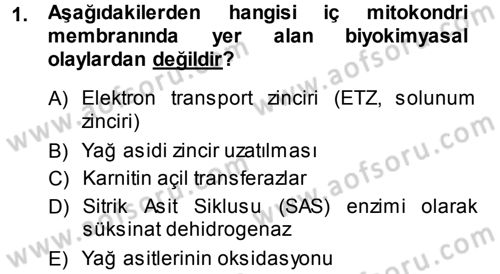 Hücre Kimyası Dersi 2013 - 2014 Yılı (Vize) Ara Sınav Soruları 1. Soru