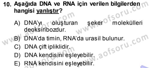 Hücre Kimyası Dersi 2013 - 2014 Yılı (Vize) Ara Sınav Soruları 10. Soru