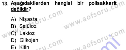 Hücre Kimyası Dersi 2013 - 2014 Yılı (Vize) Ara Sınav Soruları 13. Soru