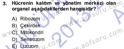 Hücre Kimyası Dersi 2013 - 2014 Yılı (Vize) Ara Sınav Soruları 3. Soru