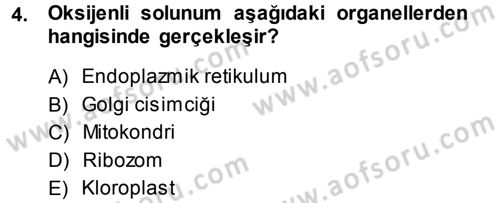 Hücre Kimyası Dersi 2013 - 2014 Yılı (Vize) Ara Sınav Soruları 4. Soru