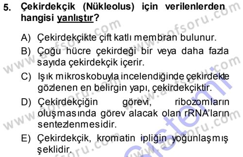 Hücre Kimyası Dersi 2013 - 2014 Yılı (Vize) Ara Sınav Soruları 5. Soru