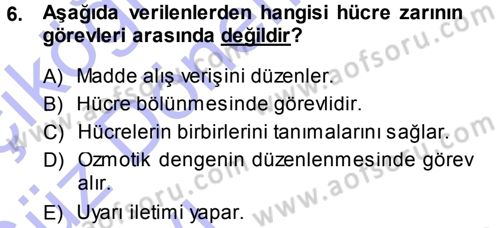 Hücre Kimyası Dersi 2013 - 2014 Yılı (Vize) Ara Sınav Soruları 6. Soru