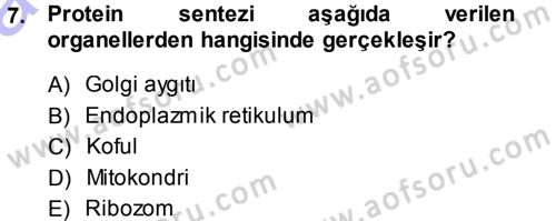 Hücre Kimyası Dersi 2013 - 2014 Yılı (Vize) Ara Sınav Soruları 7. Soru