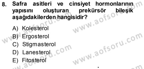 Hücre Kimyası Dersi 2013 - 2014 Yılı (Vize) Ara Sınav Soruları 8. Soru