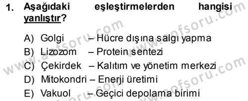 Hücre Kimyası Dersi 2013 - 2014 Yılı (Final) Dönem Sonu Sınav Soruları 1. Soru