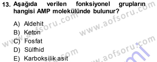 Hücre Kimyası Dersi 2013 - 2014 Yılı (Final) Dönem Sonu Sınav Soruları 13. Soru