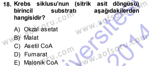 Hücre Kimyası Dersi 2013 - 2014 Yılı (Final) Dönem Sonu Sınav Soruları 18. Soru