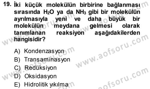 Hücre Kimyası Dersi 2013 - 2014 Yılı (Final) Dönem Sonu Sınav Soruları 19. Soru