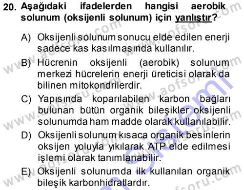 Hücre Kimyası Dersi 2013 - 2014 Yılı (Final) Dönem Sonu Sınav Soruları 20. Soru
