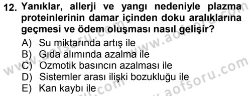 Hücre Kimyası Dersi 2013 - 2014 Yılı Tek Ders Sınav Soruları 12. Soru