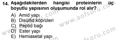 Hücre Kimyası Dersi 2013 - 2014 Yılı Tek Ders Sınav Soruları 14. Soru