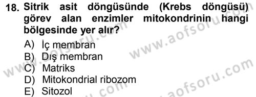 Hücre Kimyası Dersi 2013 - 2014 Yılı Tek Ders Sınav Soruları 18. Soru