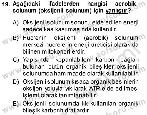 Hücre Kimyası Dersi 2013 - 2014 Yılı Tek Ders Sınav Soruları 19. Soru