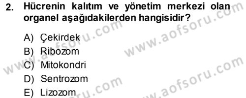 Hücre Kimyası Dersi 2013 - 2014 Yılı Tek Ders Sınav Soruları 2. Soru