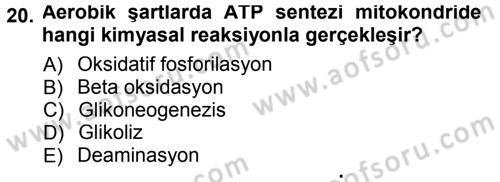 Hücre Kimyası Dersi 2013 - 2014 Yılı Tek Ders Sınav Soruları 20. Soru