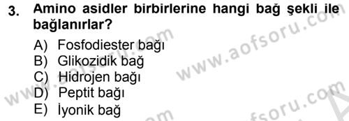 Hücre Kimyası Dersi 2013 - 2014 Yılı Tek Ders Sınav Soruları 3. Soru