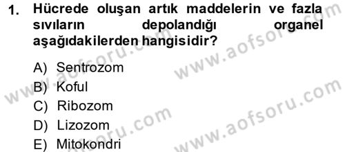 Hücre Kimyası Dersi 2014 - 2015 Yılı (Vize) Ara Sınav Soruları 1. Soru