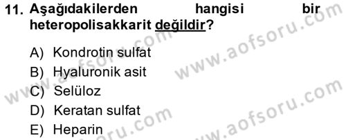Hücre Kimyası Dersi 2014 - 2015 Yılı (Vize) Ara Sınav Soruları 11. Soru