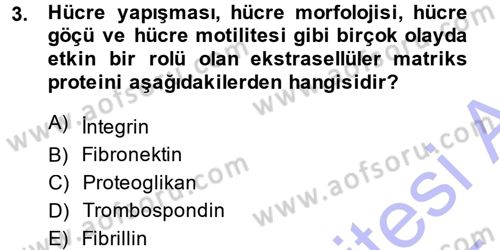 Hücre Kimyası Dersi 2014 - 2015 Yılı (Vize) Ara Sınavı 3. Soru