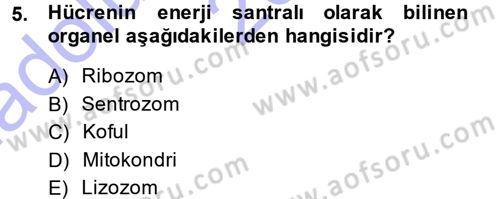 Hücre Kimyası Dersi 2014 - 2015 Yılı (Vize) Ara Sınav Soruları 5. Soru