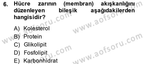 Hücre Kimyası Dersi 2014 - 2015 Yılı (Vize) Ara Sınav Soruları 6. Soru