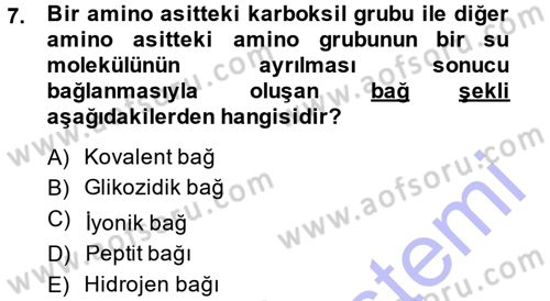 Hücre Kimyası Dersi 2014 - 2015 Yılı (Vize) Ara Sınav Soruları 7. Soru