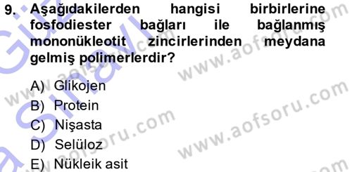 Hücre Kimyası Dersi 2014 - 2015 Yılı (Vize) Ara Sınavı 9. Soru