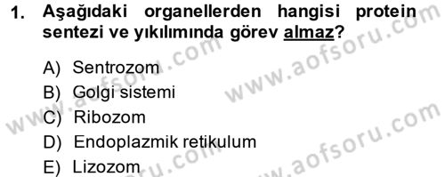 Hücre Kimyası Dersi 2014 - 2015 Yılı (Final) Dönem Sonu Sınav Soruları 1. Soru