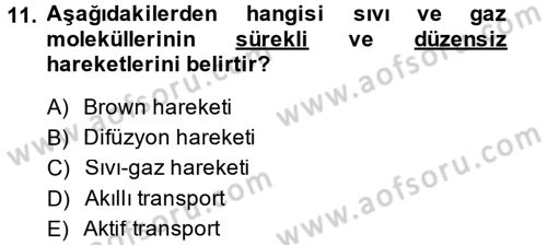 Hücre Kimyası Dersi 2014 - 2015 Yılı (Final) Dönem Sonu Sınav Soruları 11. Soru