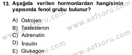 Hücre Kimyası Dersi 2014 - 2015 Yılı (Final) Dönem Sonu Sınav Soruları 13. Soru